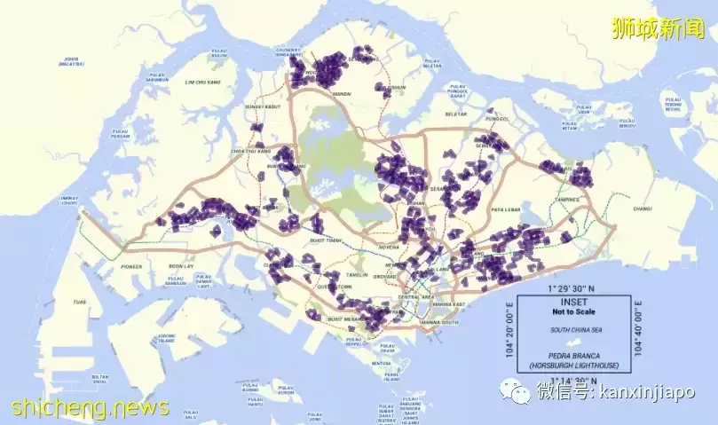 新加坡骨痛熱症病例激增，創今年新高！看看你家屬于“黑區”嗎