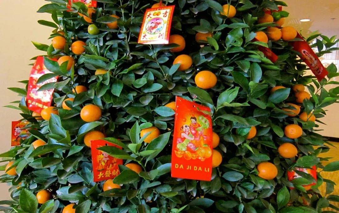 880米？800個？88只？What is this