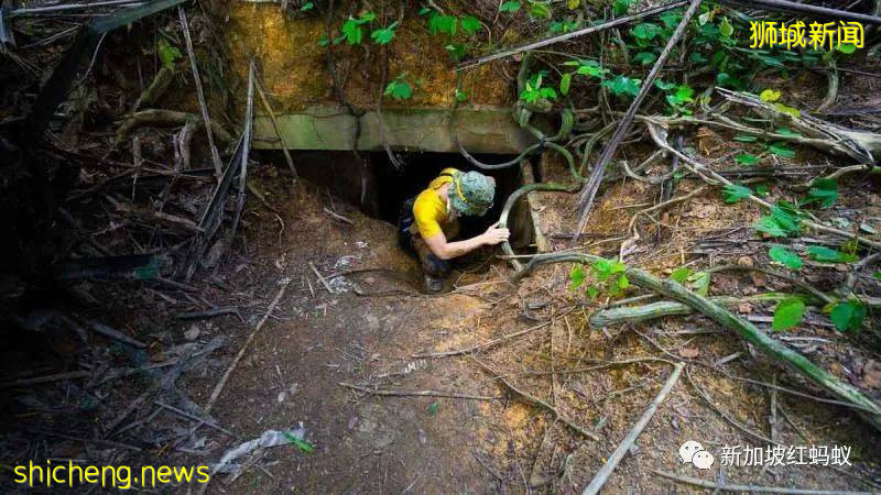 新加坡这些别有洞天的小众景点 稍不留神就会错过