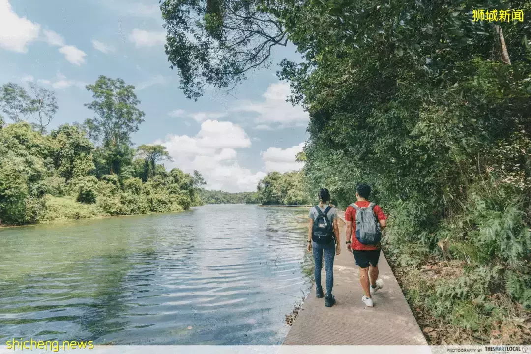 帶娃逛遍新加坡的森林和水庫，9條適合兒童徒步的路線