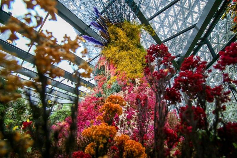 欢迎光临花花世界！Gardens by the Bay全新五米高花卉雕塑、梦幻又震撼，奇幻乐园即日起重新开放