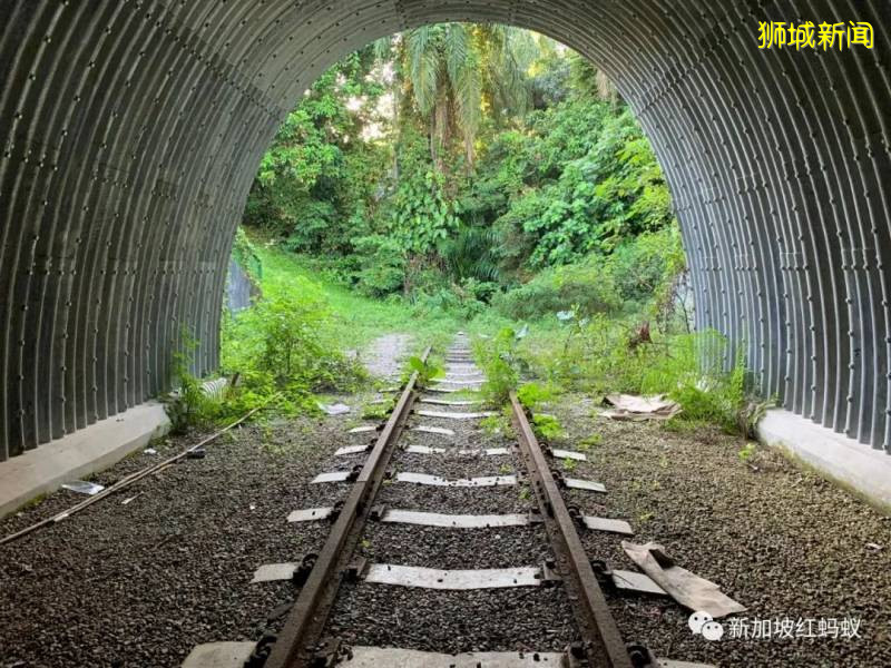 重新發現新加坡：鮮爲人知的西部鐵路