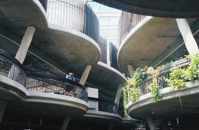 玩在獅城 坡島隱藏IG拍照打卡點推薦