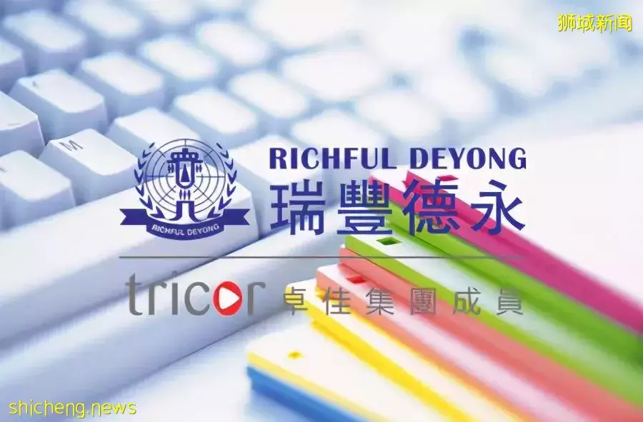 新加坡公司不能按时年审,是否可以递交延期年审报表