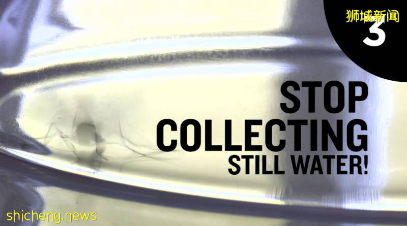 新加坡PSB學院學生事務處:預防登革熱有妙招!