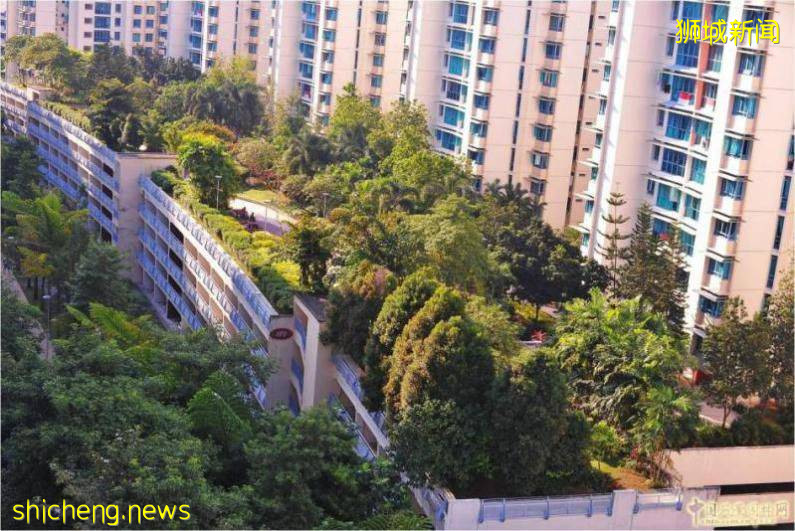 新加坡花園城市的樣子,或許是重慶樓市的未來!