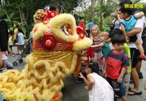 新加坡南獅鶴山獅團的曆史,這篇文章告訴你!