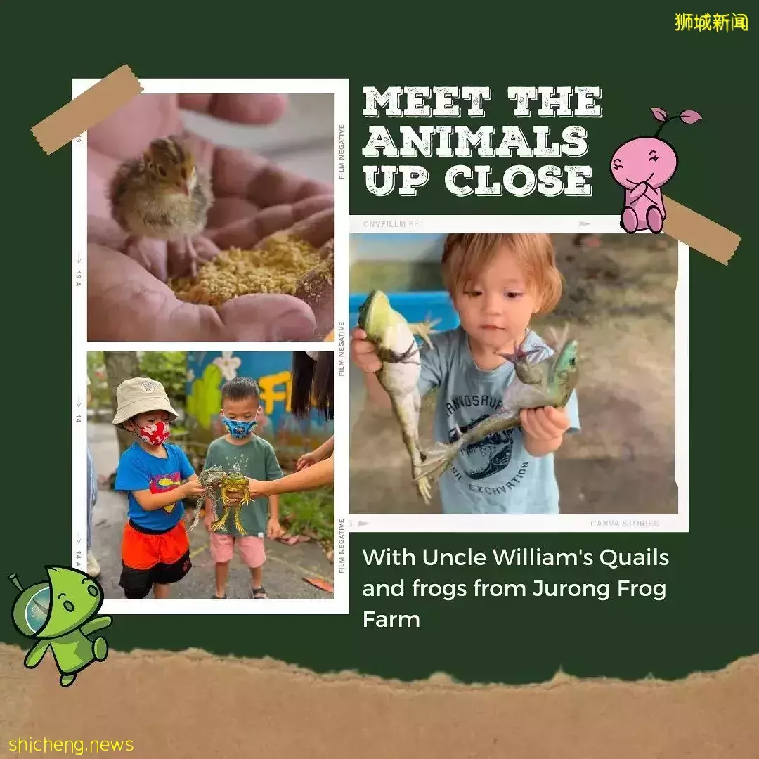 抓青蛙、喂小鸡、摸鹌鹑、喝羊奶、做手工…克兰芝农夫市集又回来啦