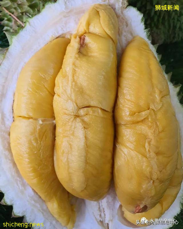 超火爆的榴梿主题餐厅,榴梿控挚爱的party怎能错过