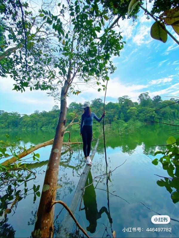 Chestnut Nature Park城市裏的世外桃園🌸 天空之境獨木橋、越野騎行、徒步放松好去處