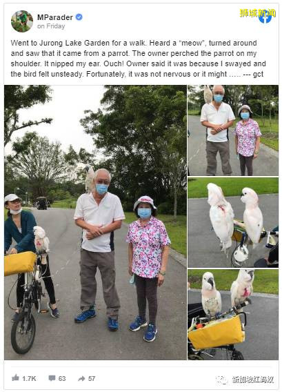 到公園嬉鳥被網民酸“獨自享受瑞士退休生活” 吳作棟:別酸葡萄