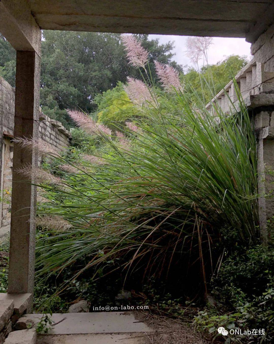 闽南考察笔记:惠安秀涂与新加坡惠安人