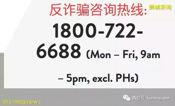 “太过瘾了!我把骗子给骗了,人生就是一场戏...”
