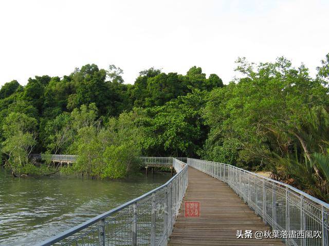 下月起，可以飞去新加坡旅游了。这些冷门免费地方值得一去