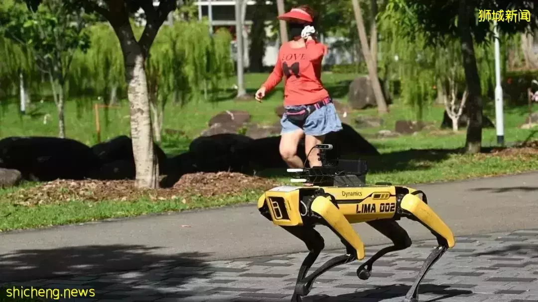 學生和工作准證持有者!如果碰到這些情況,在新加坡會被遣返