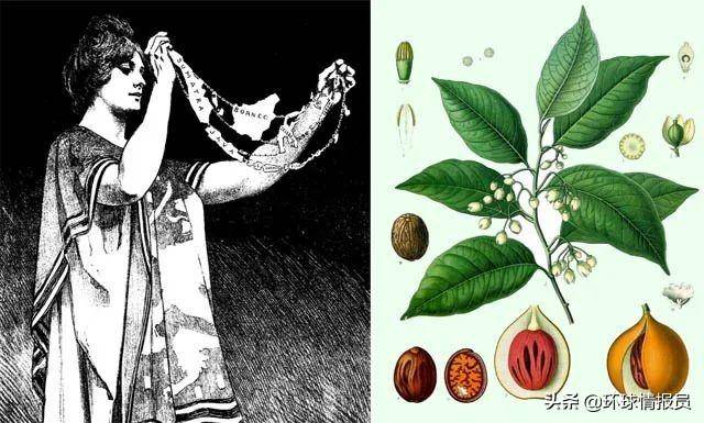 吞並馬來西亞、新加坡和文萊,印尼的“大國雄心”從何而來