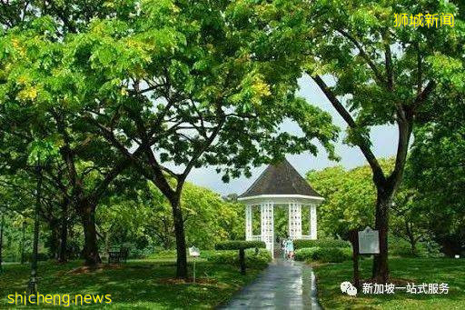 最美麗的自然風光: 新加坡植物園!