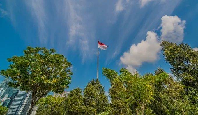 醫在獅城 爲什麽選擇新加坡