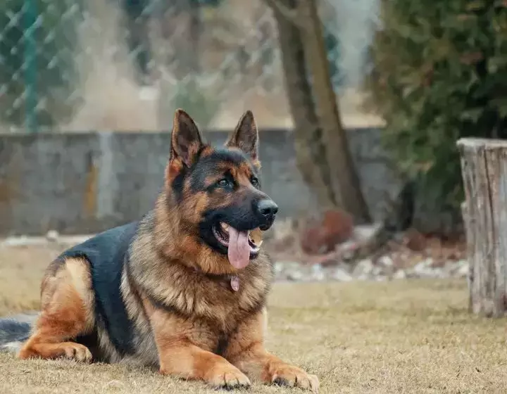 在新加坡去哪裏做義工?這22個地方,讓你和孩子的人生更有意義