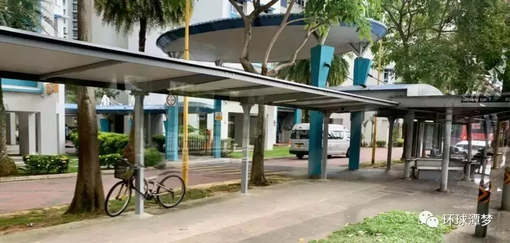 “花園城市”獅城新加坡現狀，帶你看看新加坡的冷知識