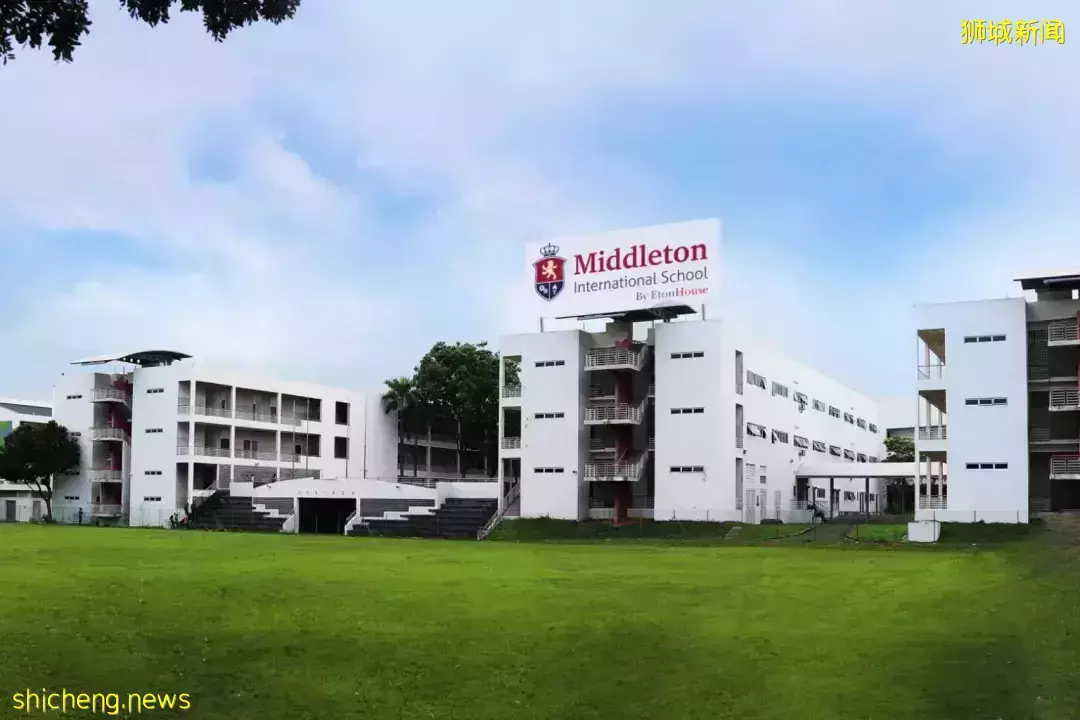 史上最強攻略!在新加坡如何選學校?國際學校vs政府學校,哪個好