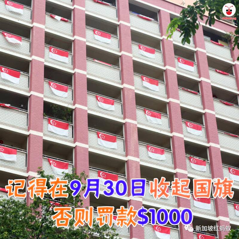 新加坡政府澄清可以繼續挂國旗不會被罰款　網民：條規也翻煎餅