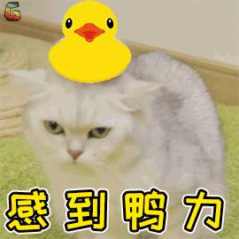 日常鴨梨山大?不妨來坡島這5個好玩又釋放壓力的解壓working shop