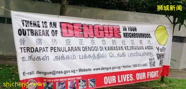 近萬人感染！新加坡隱藏殺手骨痛熱症，或將面臨大暴發!
