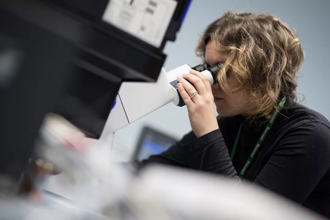 新加坡公立大学入学新机制