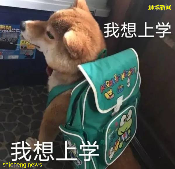 新加坡国立大学的那些事儿,你知道多少