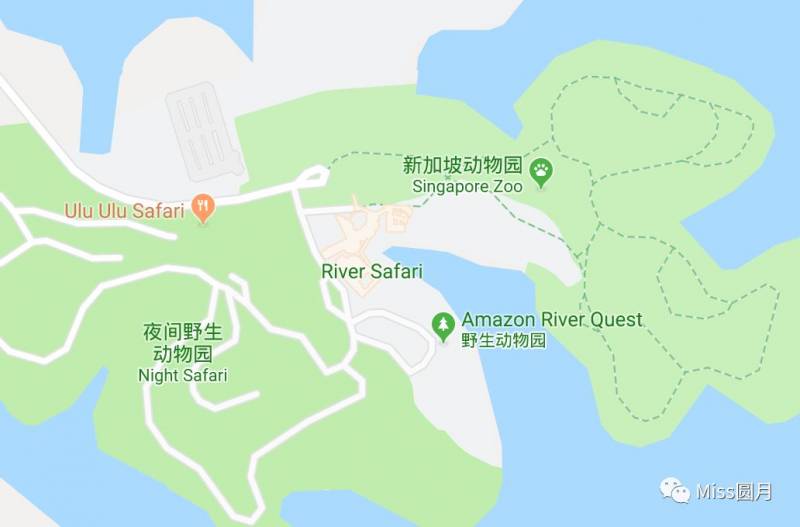 一大一小的新加坡之行(二):游玩篇