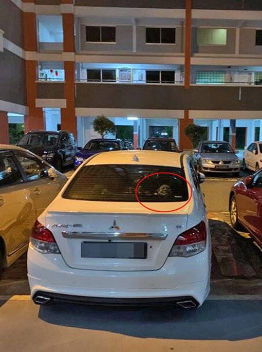 车内摆“恶魔面具” 车主举动让人费解