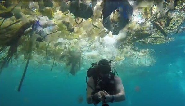 你敢相信这是花园城市新加坡！保护环境人人有责
