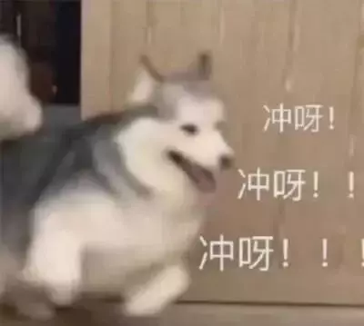 23Fall提前批申请通道开放！新国大理学院硕士全面招生中