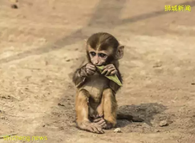 干货 这些事情一定不能在新加坡做