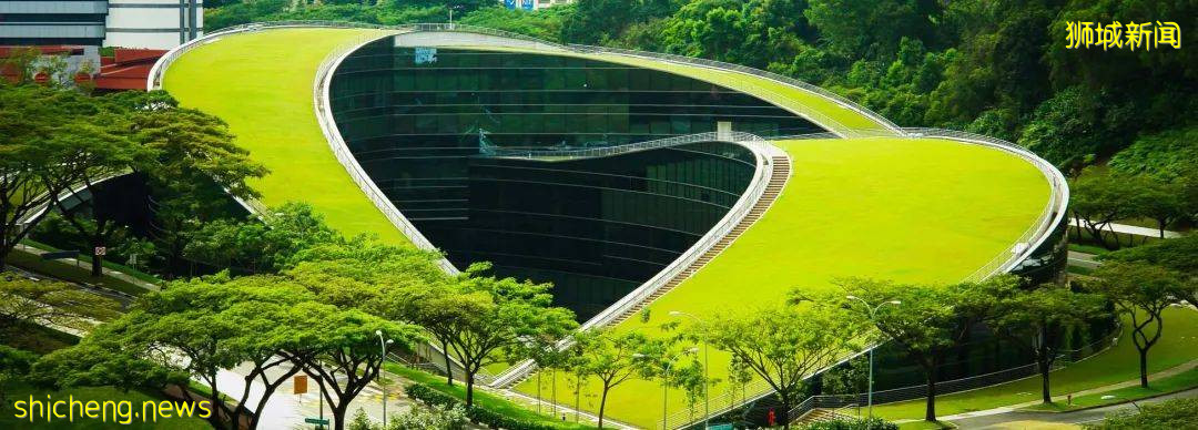 看完新加坡华语入门,我好像不会说华语了