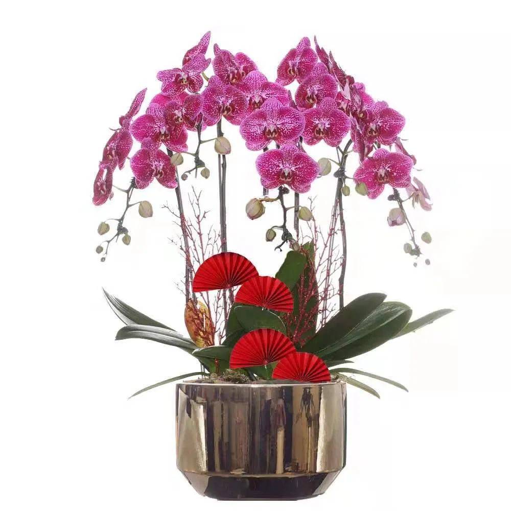 叮咚!你有一個情人節蛋糕請簽收!比玫瑰還好看的花也來了