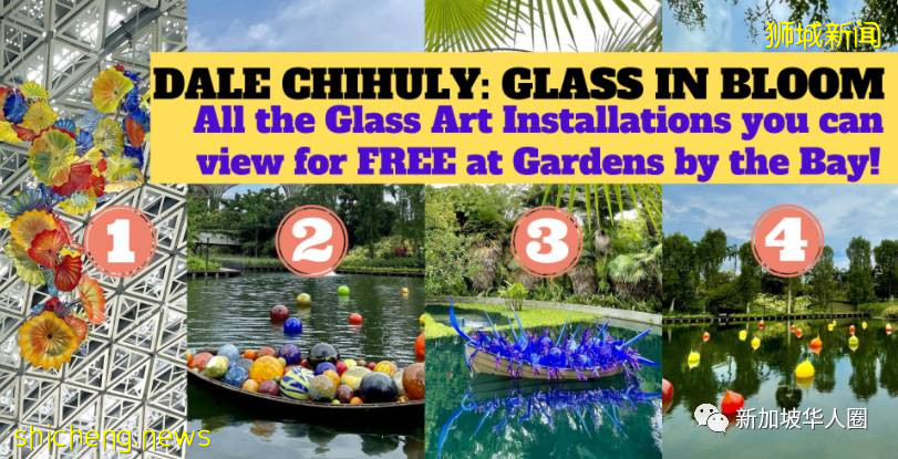 新加坡滨海湾花园儿童节活动免费开放,访客要疫苗证明才能入场