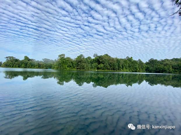 “地震雲”昨早刷爆朋友圈！很少看過這麽“怪異”的朝陽