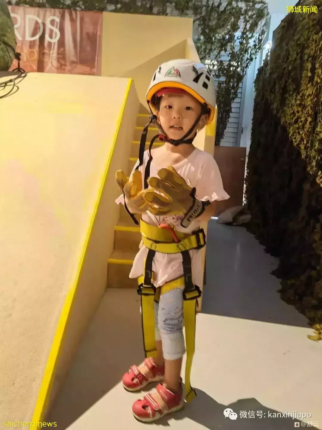 場場爆滿!每天3萬遊客的陸軍開放日有什麽魔力