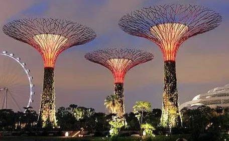 遛娃胜地新加坡!盘点那些让娃流连忘返的主题乐园