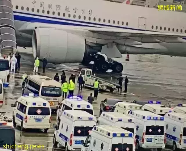 来新加坡一年半,发现妻子有了二胎!他在机场跪地磕头痛哭