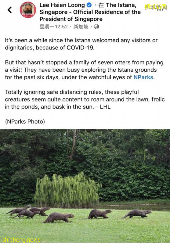 一顿饭吃了上百万新币,狮城吃货真是豪横