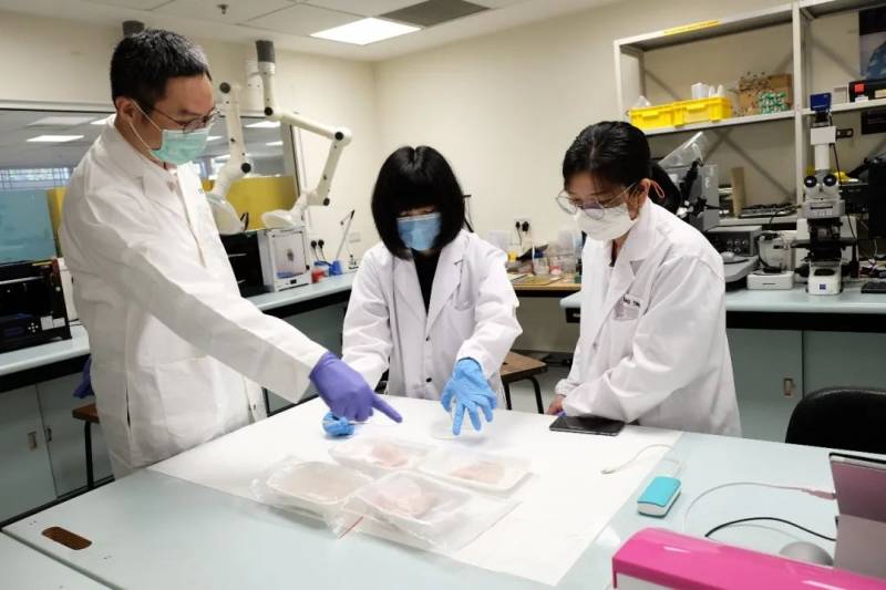 超市的肉新鮮嗎?AI 電子鼻幫你“嗅”出來