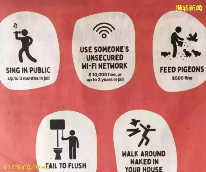 你以为的新加坡真的是你以为吗