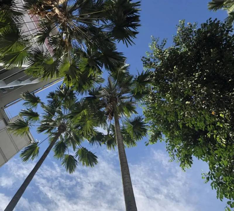 新加坡是最安全的留學國家之一