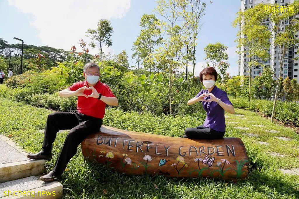 新加坡武吉甘柏公園開幕，蝴蝶園、遛狗場、山丘步道，登高遠眺好去處