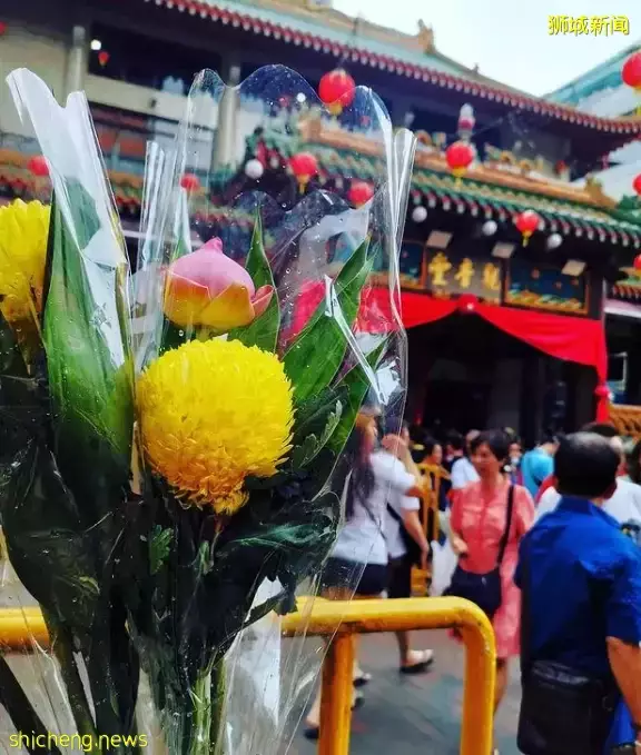 大跌眼鏡！新加坡祭拜用的白色菊花，居然在這裏成母親節禮物