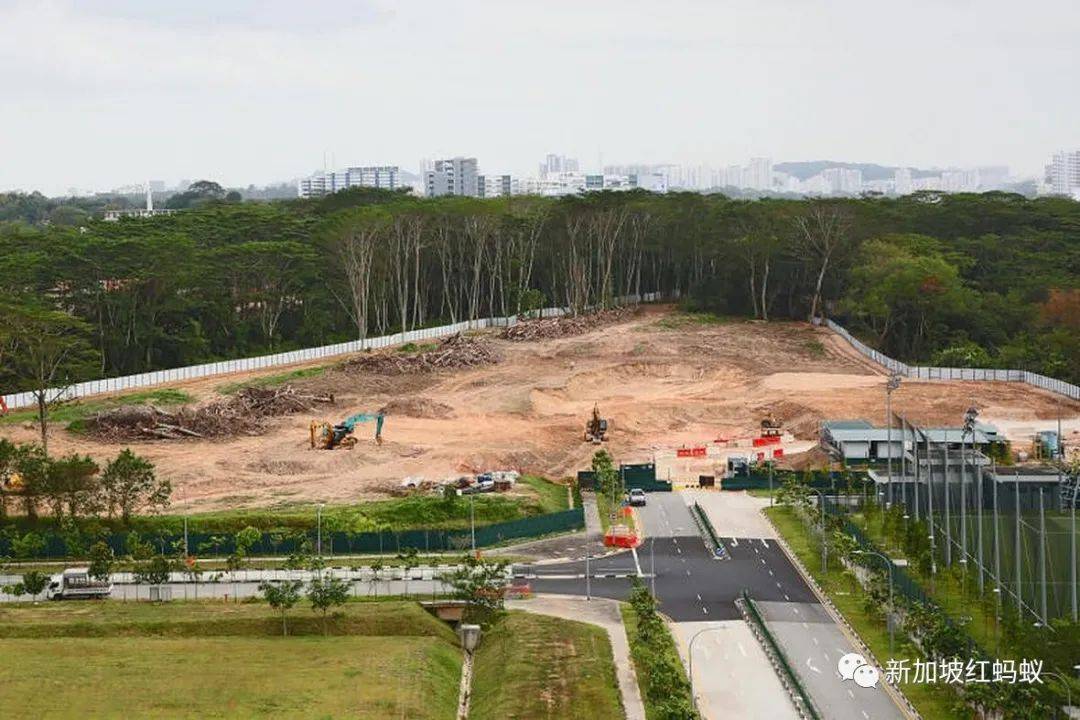 克兰芝林地事件原来有这些内幕　裕廊集团：绝不逃避责任