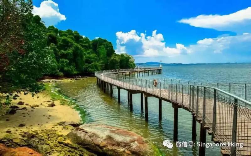 9月15日星期天单身白徒：乌敏岛Pulau Ubin Singles Hike